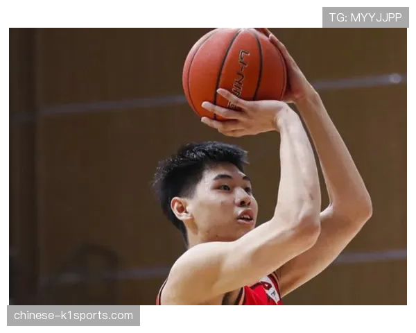 法莱卡斯约翰逊蓝领化使用，重点保护篮筐当炮台策应